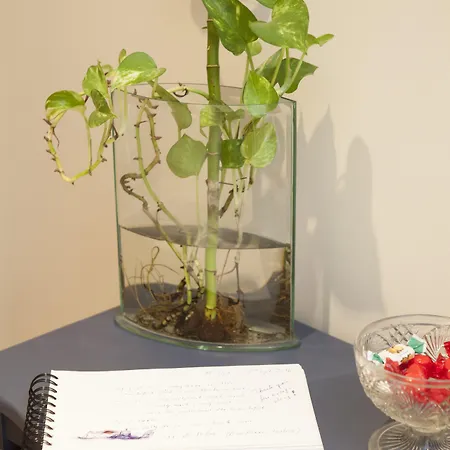 아파트 Porto Gaia And By Mp 빌라노바데가이아