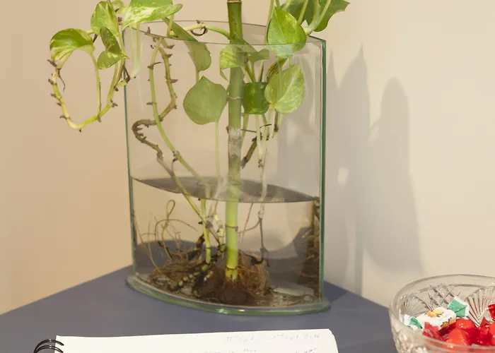 Apartman Porto Gaia And By Mp Vila Nova de Gaia